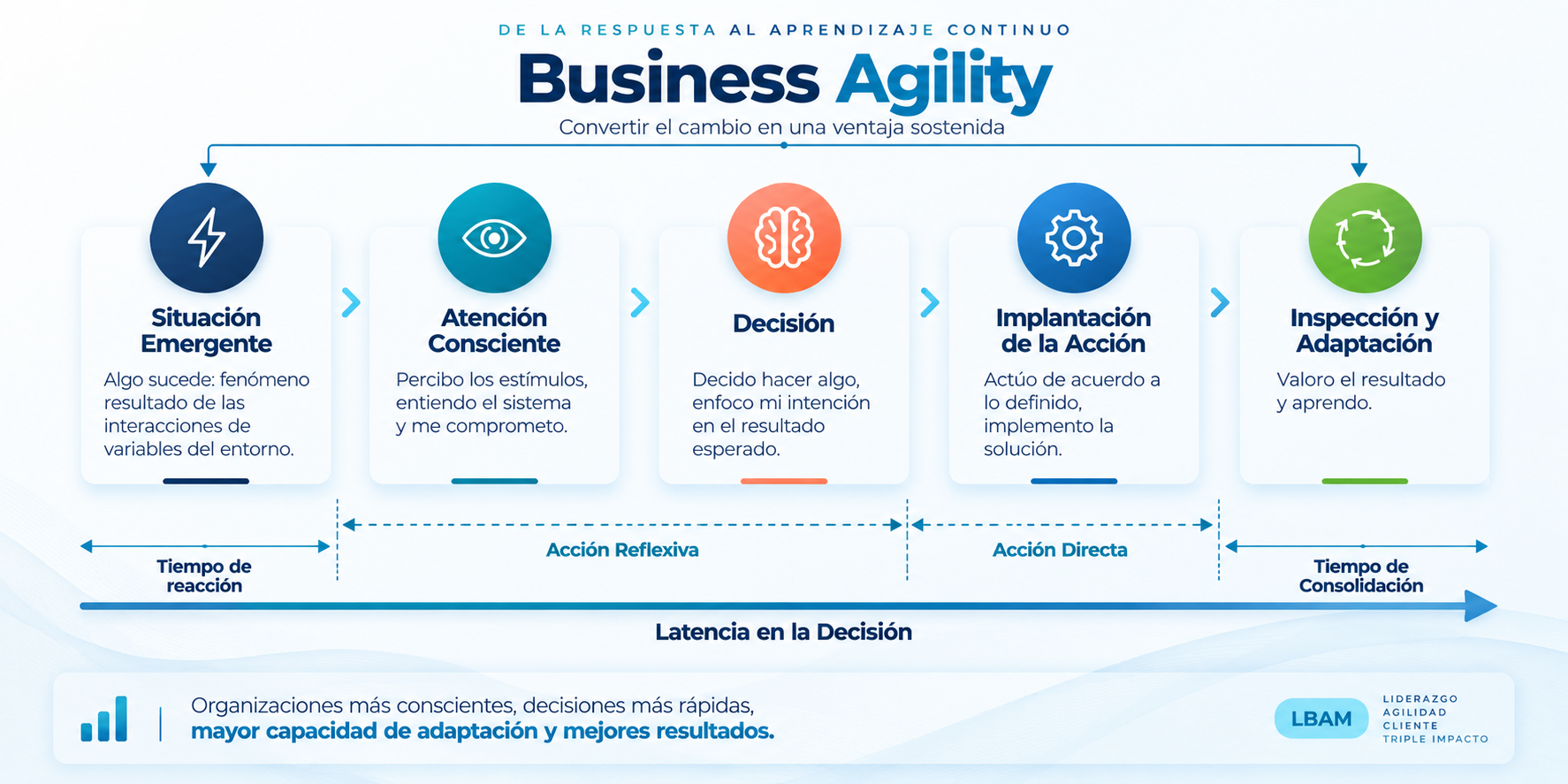 Ciclo de Business Agility: situación emergente, atención consciente, decisión, implantación de la acción e inspección y adaptación. Distingue tiempo de reacción, acción reflexiva, acción directa y tiempo de consolidación.